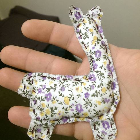 12806030_564646820361870_5200749489388106422_n