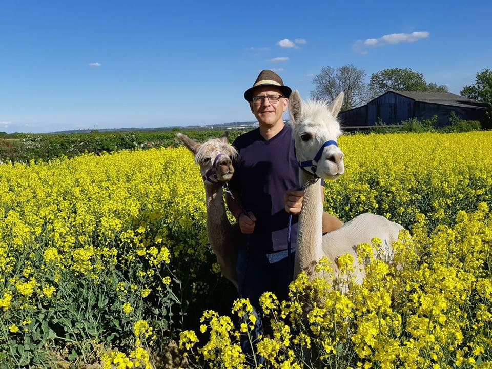 Ambo and Kimbo in the rapeseed