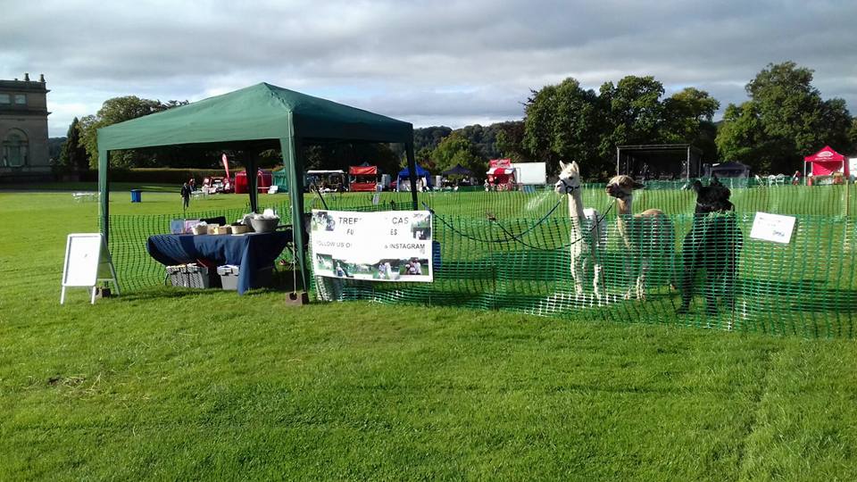 At events throughout the year